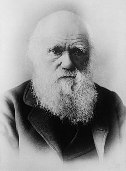 Дарвин был прав насчет эволюционного дисбаланса