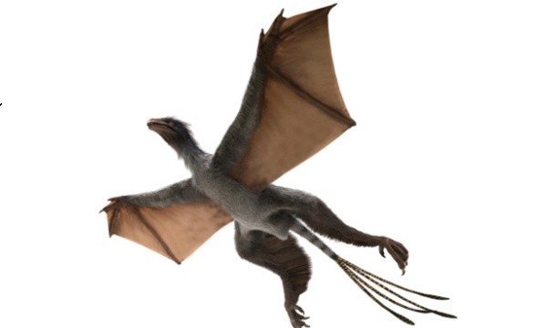 Птицы-динозавры имели крылья, как у летучих мышей
