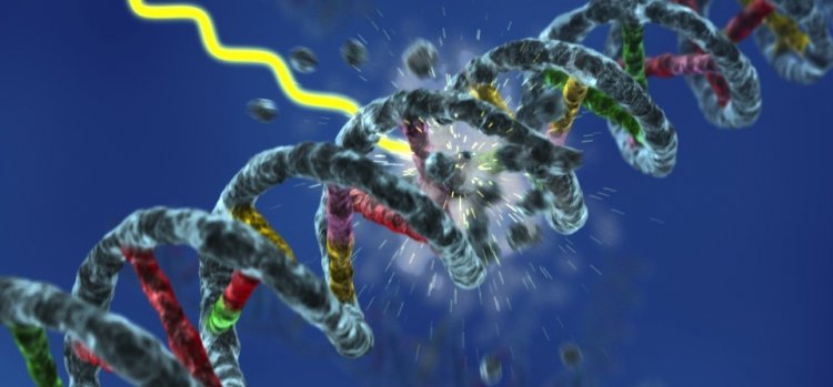 Ученые из МГУ открыли новый механизм починки ДНК