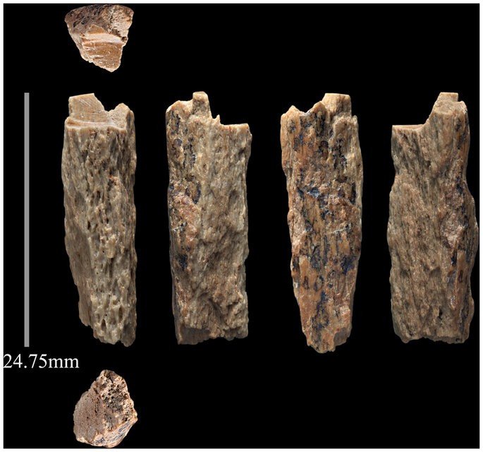 Как найти одну кость неандертальца среди двух тысяч фрагментов