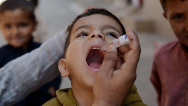 Синтетическая вакцина против полиомиелита покончит с этой болезнью