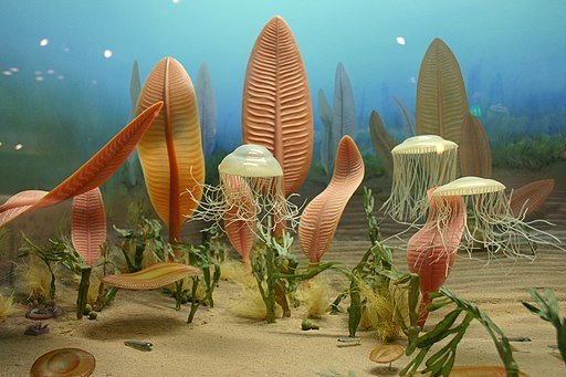 Жизнь в океане полмиллиарда лет назад