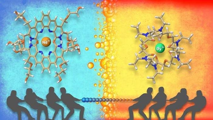 Водорастворимые и маслорастворимые органические молекулы эффективно разделяют различные элементы в лантаноидном ряду периодической системы