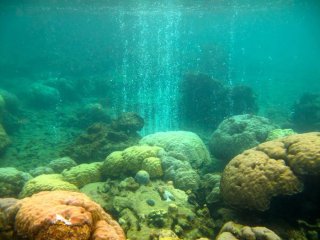Выброс CO2 с морского дна в местах извержения вулканов в Папуа - Новой Гвинее