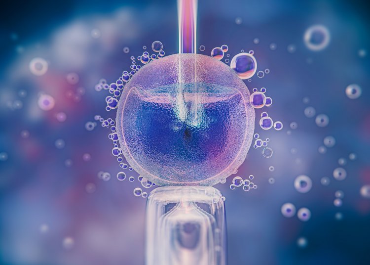 Новый метод выявления муковисцидоза у эмбриона при ЭКО предложили томские ученые. Источник изображения: freepik / фотобанк Freepik