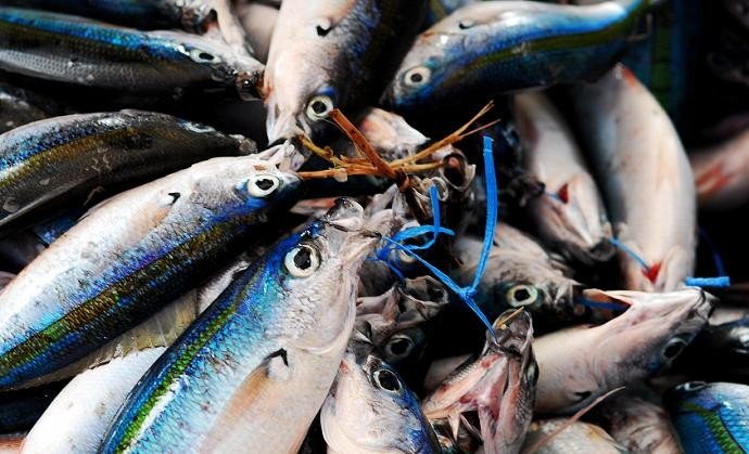 В рыбе с рынков нашли частицы пластика и волокна