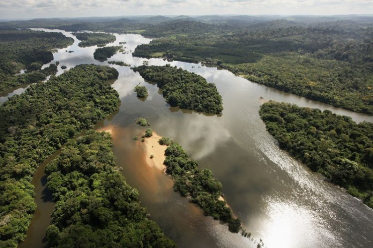 Ученые нашли древнюю цивилизацию Амазонии