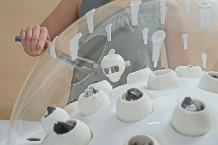 Как превратить пластик в съедобные грибы