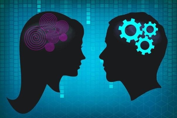 Мозг женщин и мужчин работает по-разному, когда дело касается сотрудничества