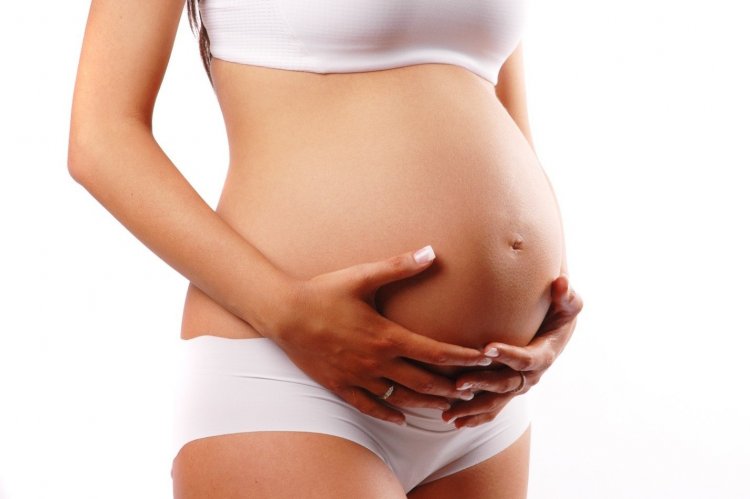 Плацента во время беременности распределяет питательные вещества между организмом матери и плода