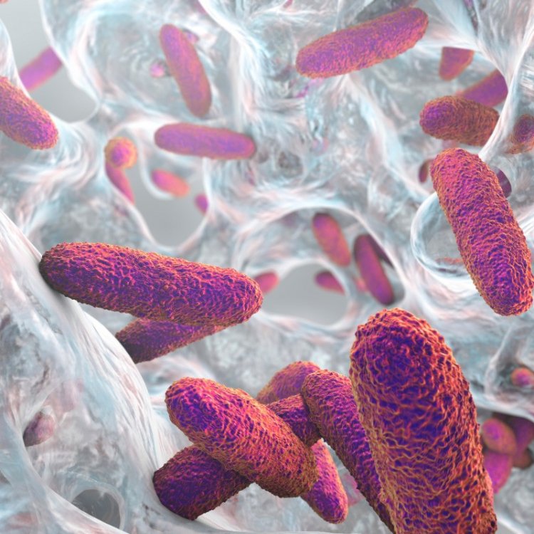 Обнаружены бактерии, резистентные к любым антибиотикам