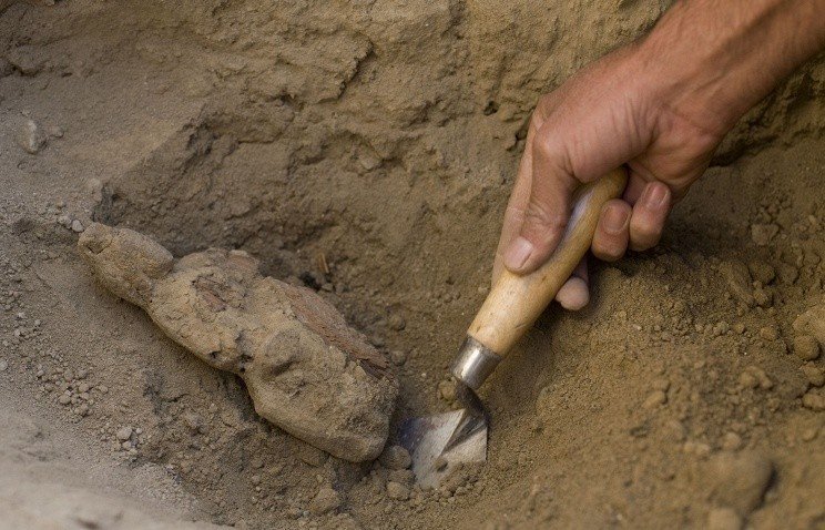 Драгоценные артефакты обнаружены в древнем китайском некрополе