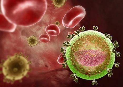 Созданы искусственные антитела, разрушающие клетки с ВИЧ