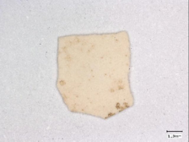 Фрагмент яичной скорлупы со стоянки Баш Тепа, представляющий собой одно из самых ранних свидетельств существования кур на Великом Шелковом пути