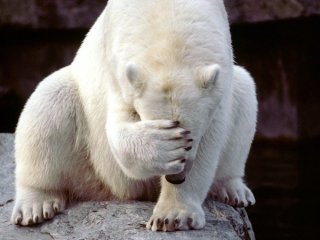 В Арктике найдены следы древних охотников на белых медведей