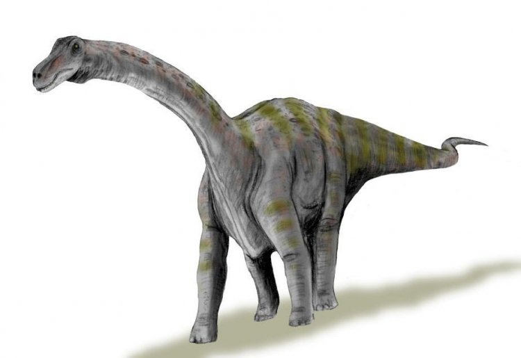 Динозаврята росли очень быстро