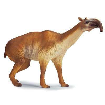 Ответ на загадку Дарвина о верблюде с шеей жирафа