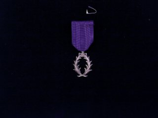 Орден рыцаря французского национального Ордена Академических пальм