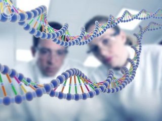 Исследование «помощников» гена PIWIL2 позволит создать диагностический маркер опухоли