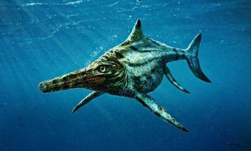 Вновь найденный ихтиозавр рассказал о своих современниках