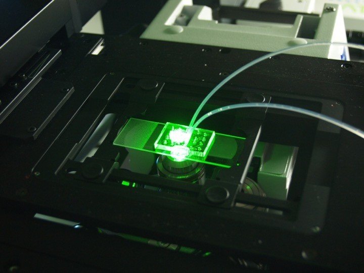 Ученые из Перми разрабатывают миниатюрный детектор опасных токсинов