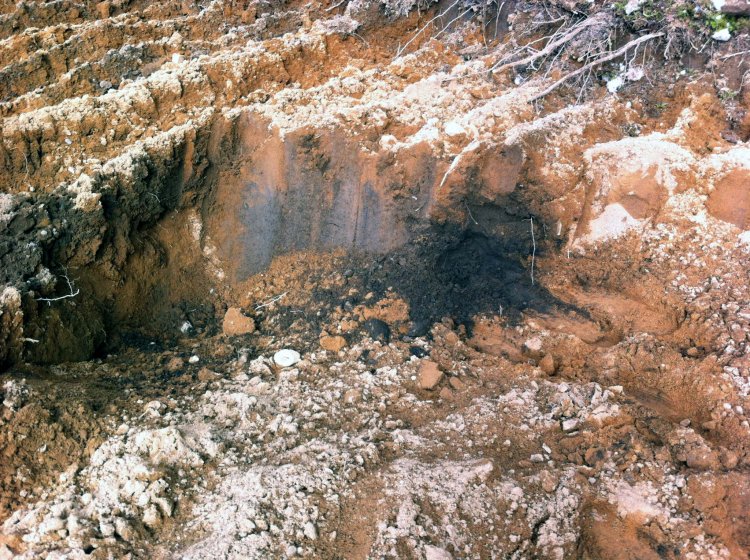 В Новгородской области разрушают археологический памятник X века