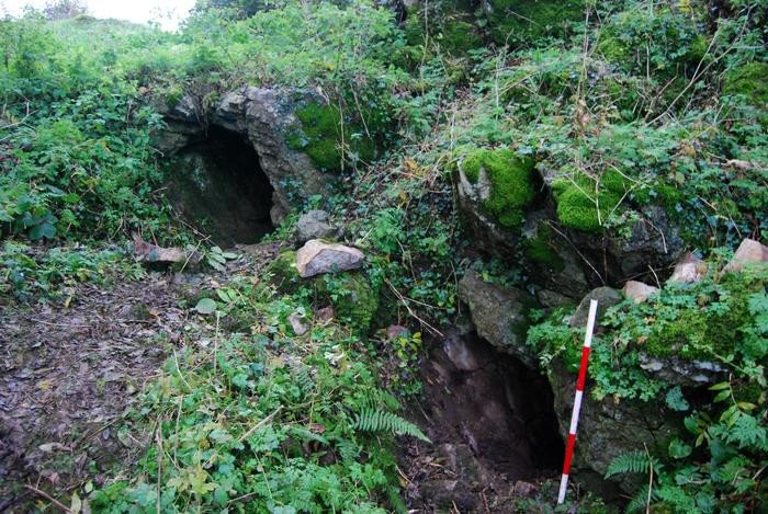 Пещера Киллура, графство Лимерик, Ирландия