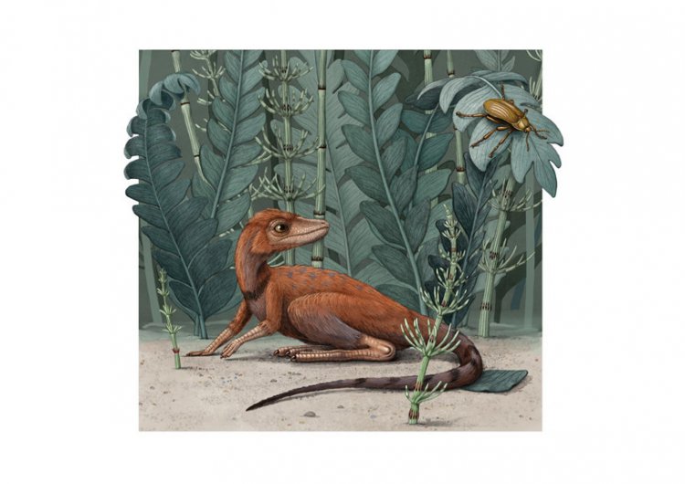 Обнаружен крошечный предок динозавров и птерозавров