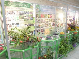 Международный форум "Дни сада в Бирюлево". Уникальные сорта садовых культур