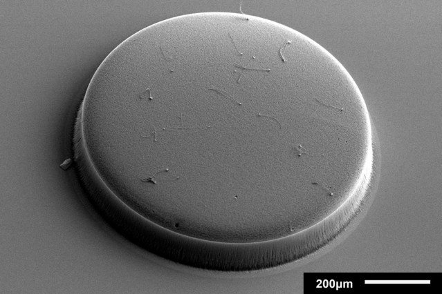 Ученые создадут датчики на основе углеродных нанотрубок