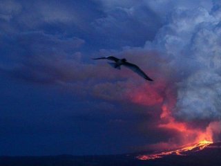 Извержение вулкана на Галапагосах