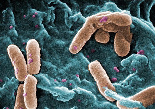 Способ справиться с больничными бактериями