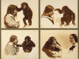 Надежда Ладыгина-Котс и шимпанзе Йони