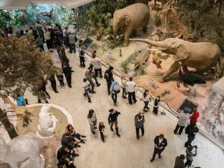 Весенние каникулы в Дарвиновском музее (26 марта – 3 апреля 2016)
