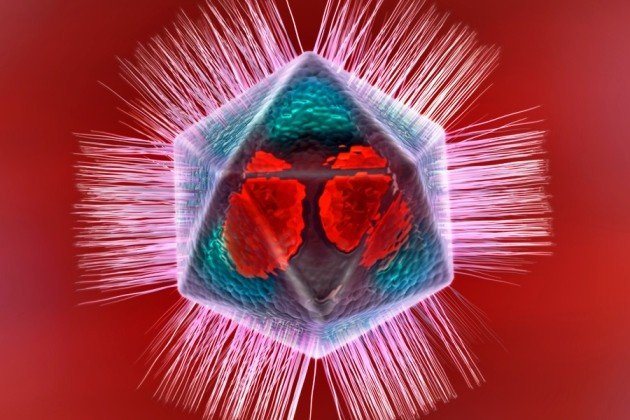 Обнаружен вирус с собственной «иммунной системой»