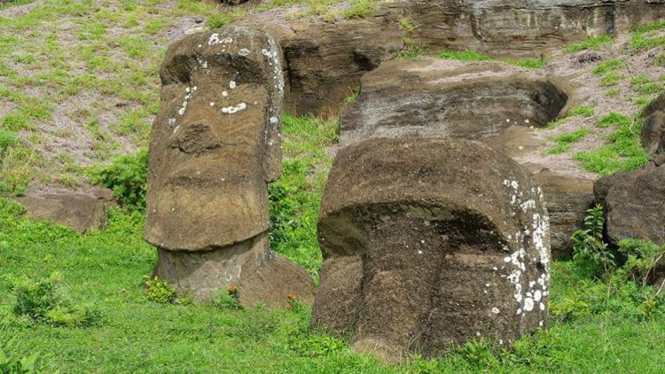 Статуи на острове Пасхи могли сделать почву более плодородной для сельского хозяйства