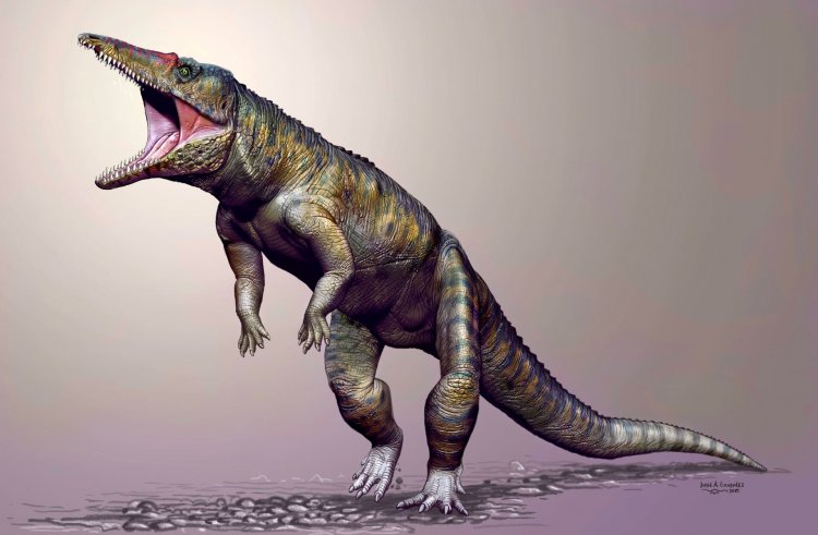 До динозавров в Америке царили гигантские крокодилы на двух ногах