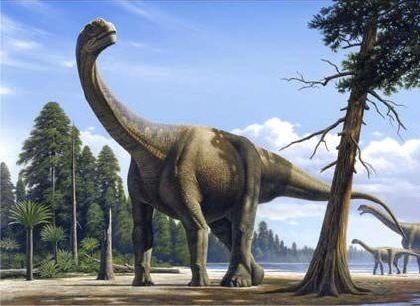 Следы динозавров нашли в Шотландии