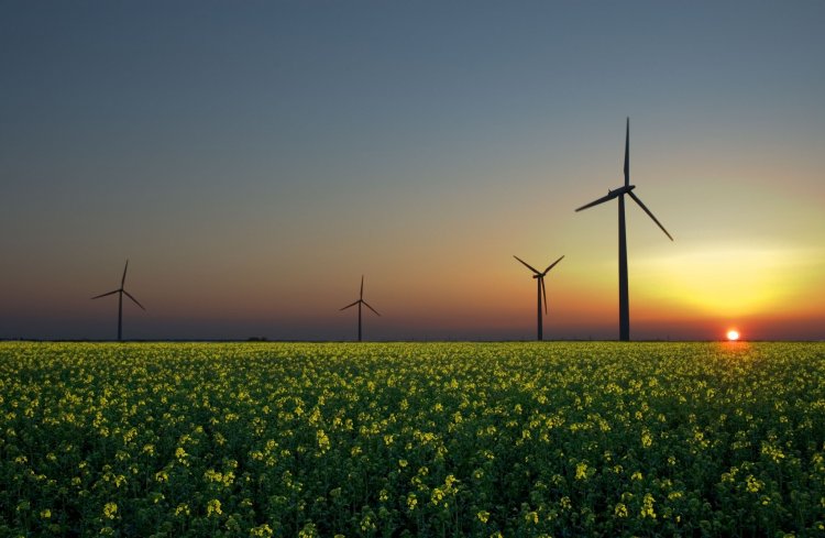 Рынок возобновляемой энергии сводит покупателей с продавцами напрямую