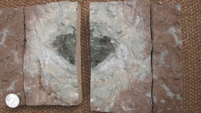 При раскопках в Швеции найден уникальный метеорит