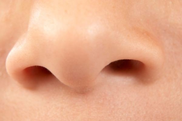 Мощный антибиотик производится в носу человека