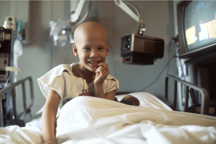 «Нанокомпромисс» для лечения рака. Источник: National Cancer Institute / Фотобанк Unsplash 
