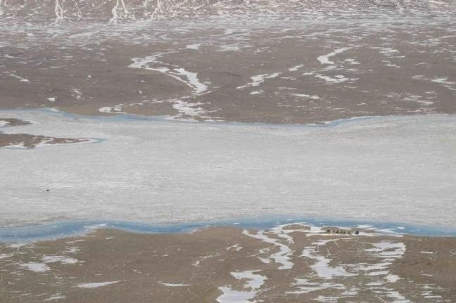 Дно антарктического озера напоминает раннюю Землю