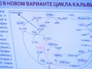 23 июня – прямая трансляция общего собрания РАН…