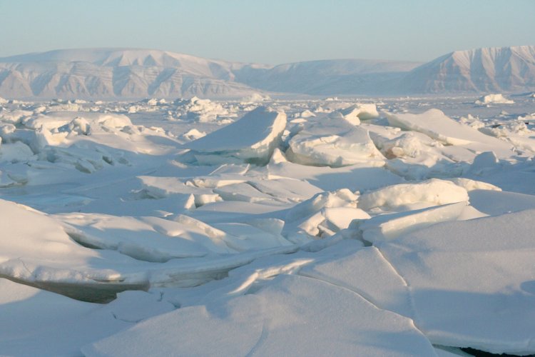 В 2013 году арктические льды таяли медленнее — но это была только пауза