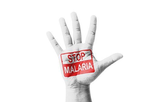 4,5 млрд долларов на избавление мира от малярии