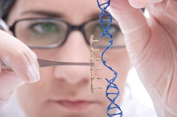 Первое разрешение редактировать геном эмбриона человека выдано в Великобритании