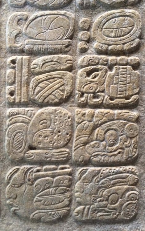 Вновь найденные иероглифические надписи майя VIII века прекрасно сохранились