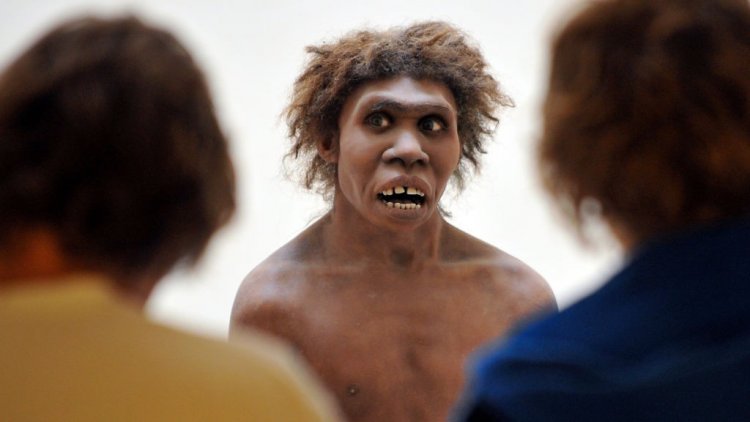 Иммунитетом современный человек обязан неандертальцам и денисовцам