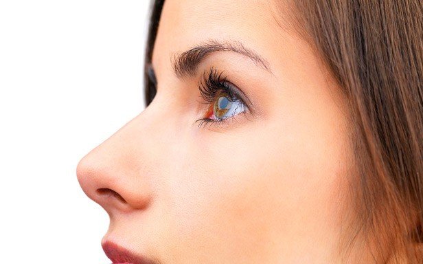 Какие гены определяют форму носа